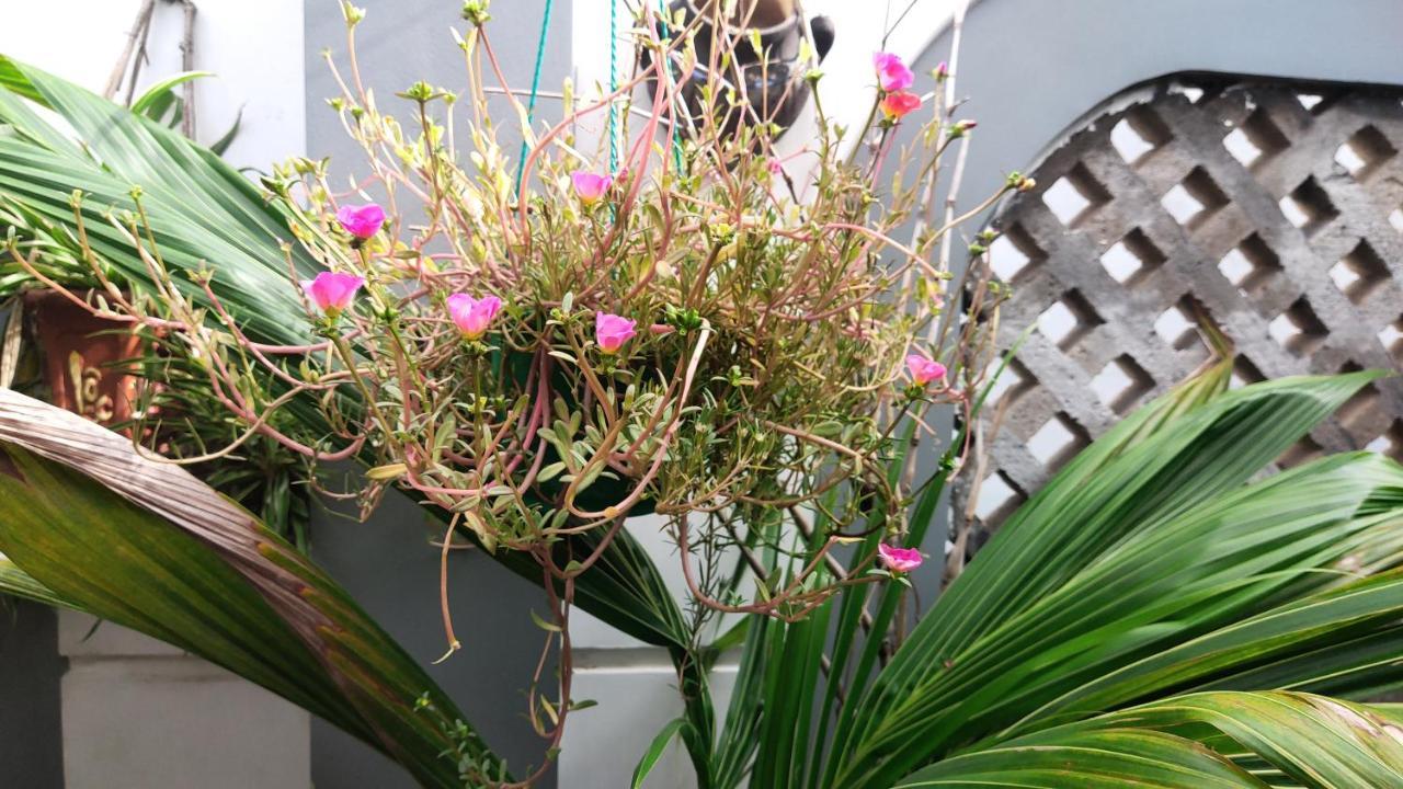 Homestay Nhà Muội Quy Nhon Esterno foto